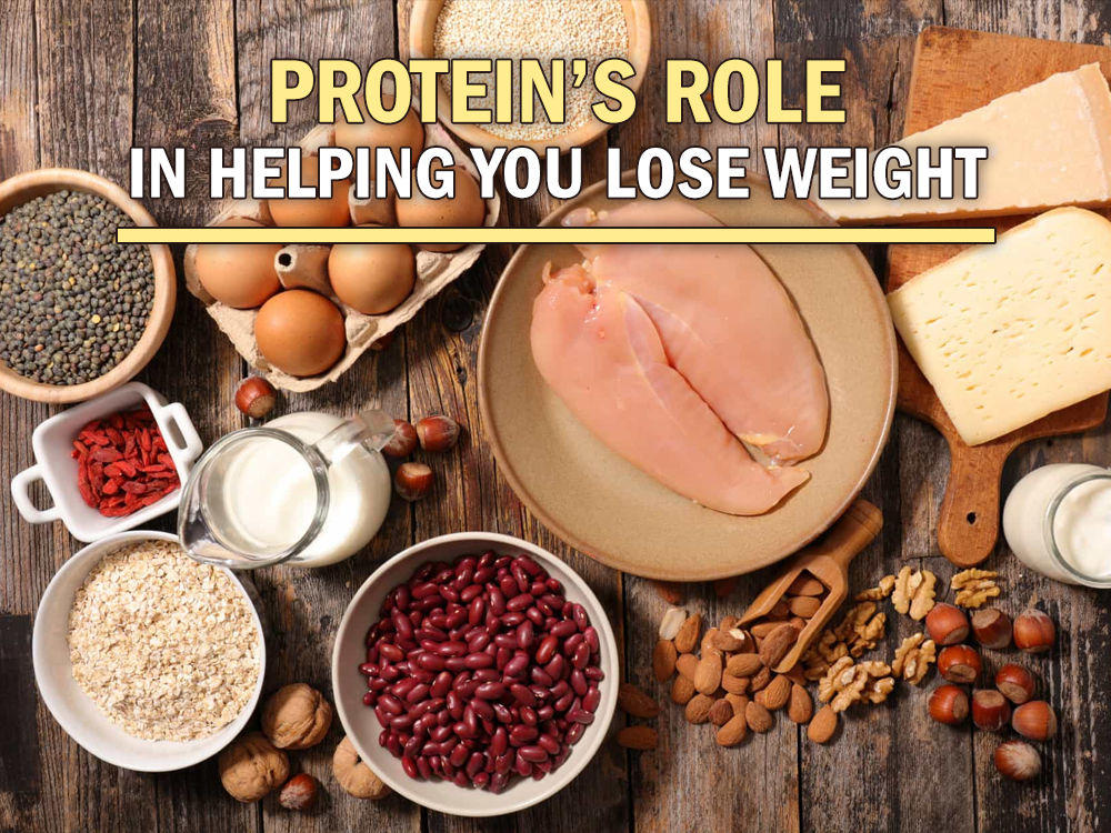 Protein’s Role in Helping You Lose Weight