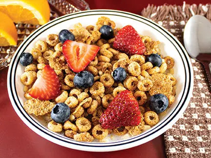 ProteinWise - Cinnamon-O Cereal - 5/Box