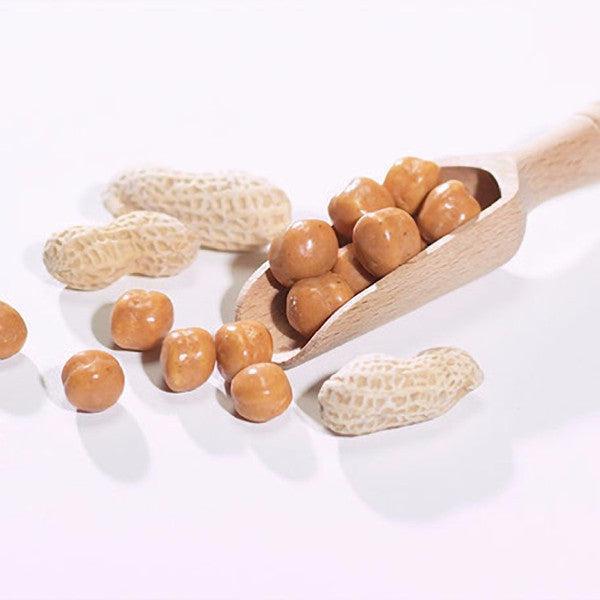 Snacks - ProteinWise - Peanut Caramel Coated Soy Snacks - 7/Box - ProteinWise